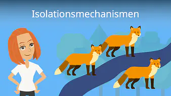Isolationsmechanismen