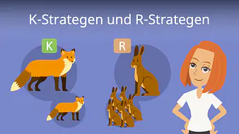 K-Strategen und R-Strategen