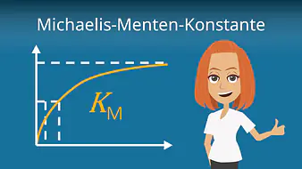 Michaelis-Menten-Konstante
