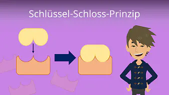Schlüssel-Schloss-Prinzip