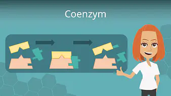 Coenzym