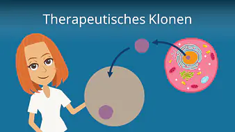 Therapeutisches Klonen
