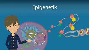 Epigenetik