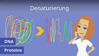 Denaturierung (Biochemie) 
