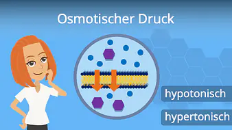 Osmotischer Druck
