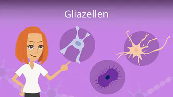 Gliazellen
