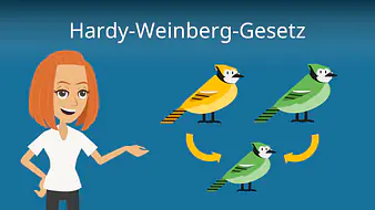 Hardy-Weinberg-Gesetz