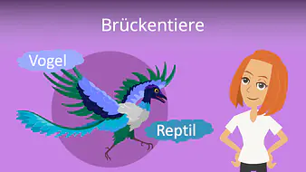 Brückentiere