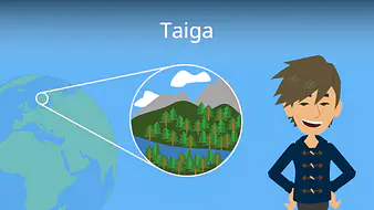 Taiga (Borealer Nadelwald)