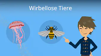 Wirbellose Tiere