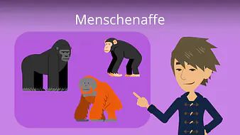 Menschenaffe