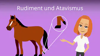 Rudiment und Atavismus