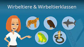 Wirbeltiere und Wirbeltierklassen