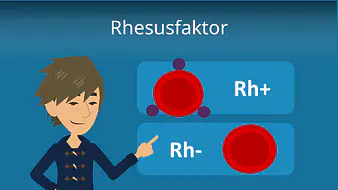 Rhesusfaktor
