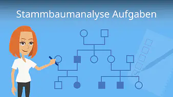 Stammbaumanalyse Aufgaben