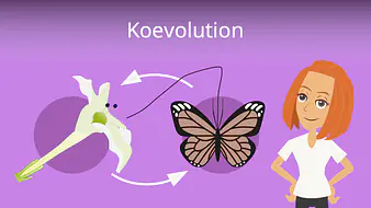 Koevolution