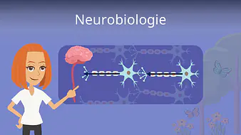 Neurobiologie