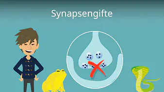 Synapsengifte