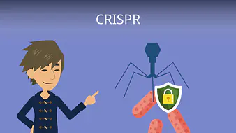 CRISPR