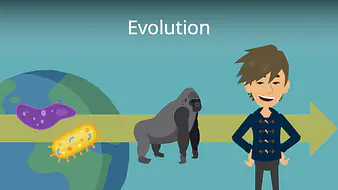 Evolution
