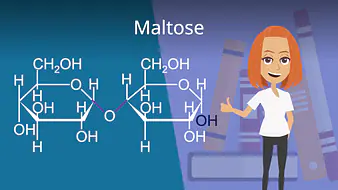 Maltose