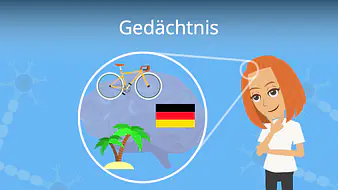 Gedächtnis