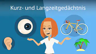 Kurzzeitgedächtnis und Langzeitgedächtnis