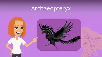 Archaeopteryx