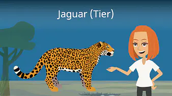 Jaguar (Tier)