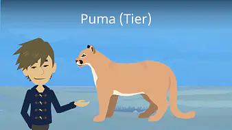 Puma (Tier)