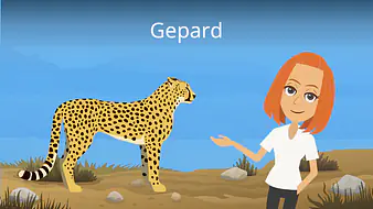 Gepard