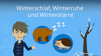 Winterschlaf, Winterruhe und Winterstarre