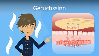 Geruchssinn