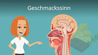Geschmackssinn