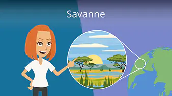 Savanne
