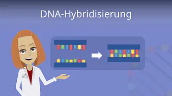 DNA-Hybridisierung