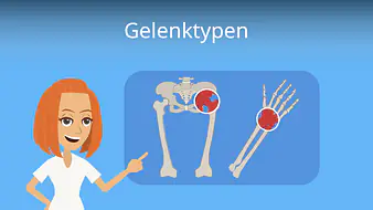 Gelenktypen
