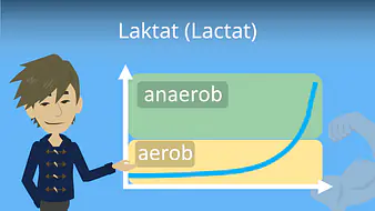 Laktat (Lactat)