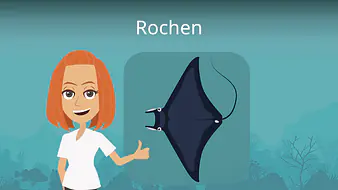 Rochen