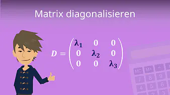 Matrix diagonalisieren