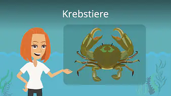 Krebstiere