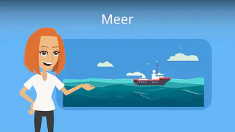 Meer