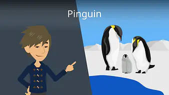 Pinguin