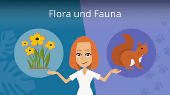 Flora und Fauna
