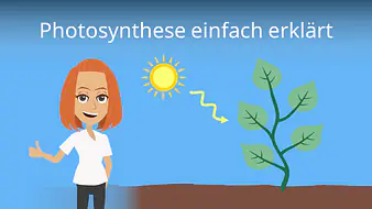 Photosynthese einfach erklärt