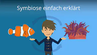 Symbiose einfach erklärt