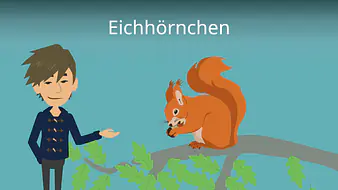 Eichhörnchen