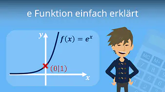 E Funktion einfach erklärt