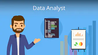 Data Analyst