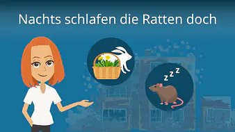 Nachts schlafen die Ratten doch